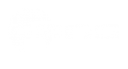  Gang Logo